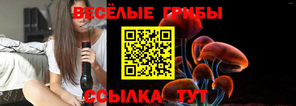 Меф   Арсеньев  ГАШ  Где найти наркотики?  Вход с VPN  ГАШИШ  Марихуана  Кокаин 